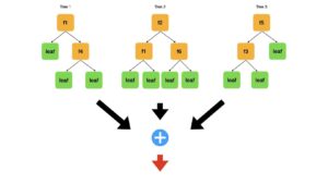 Build a Random Forest in Python from Scratch - Inside Learning Machines